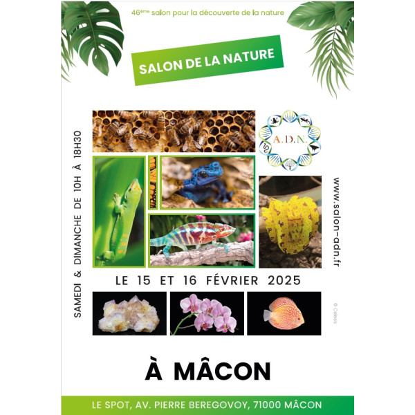 Affiche Salon de la nature 2025