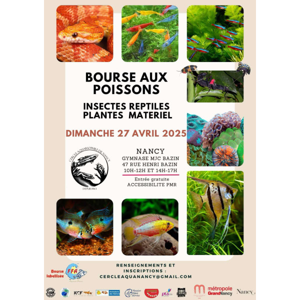 Affiche bourse de Nancy (54) 2025