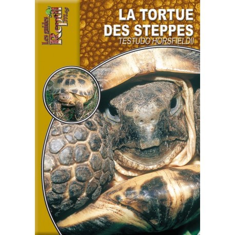 Testudo horsfieldii - La Tortue des Steppes